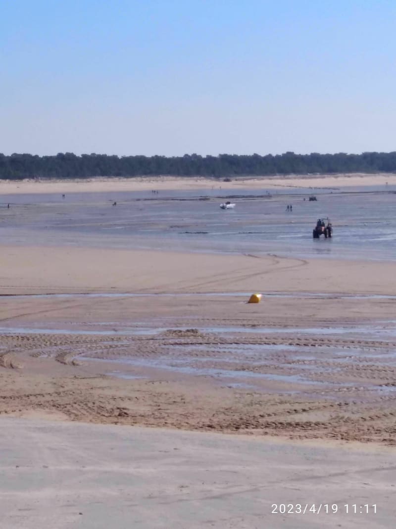 Wandeling tussen bos en strand in La Tranche-sur-Mer - La Tranche-sur-Mer