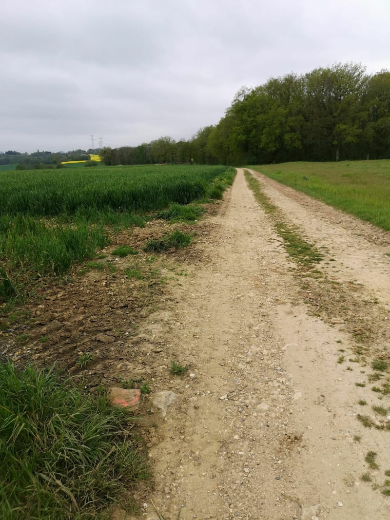 Petit tour de Cauvigny - Cauvigny