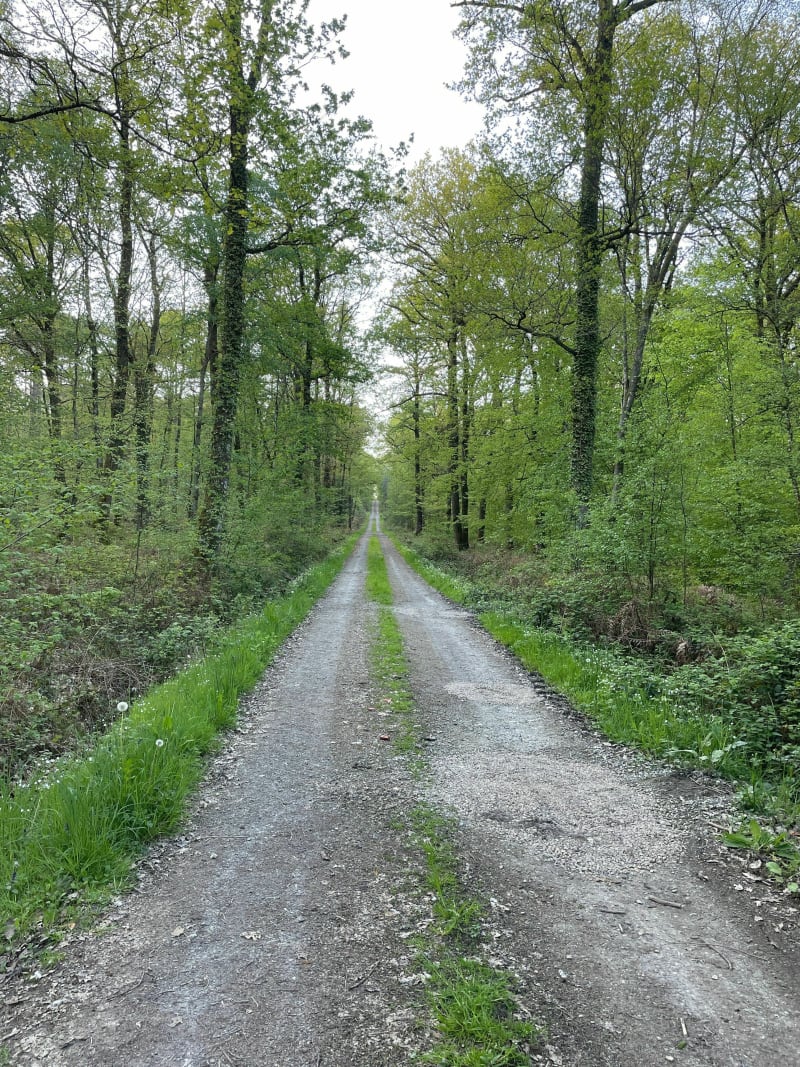 Balade autour du parcours découverte - Mont-Saint-Jean