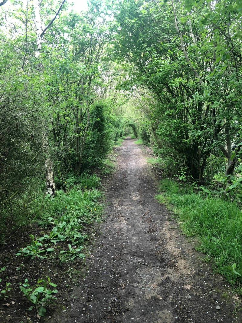 Au ruisseau du vieux moulin à Andouillé-Neuville - Andouillé-Neuville