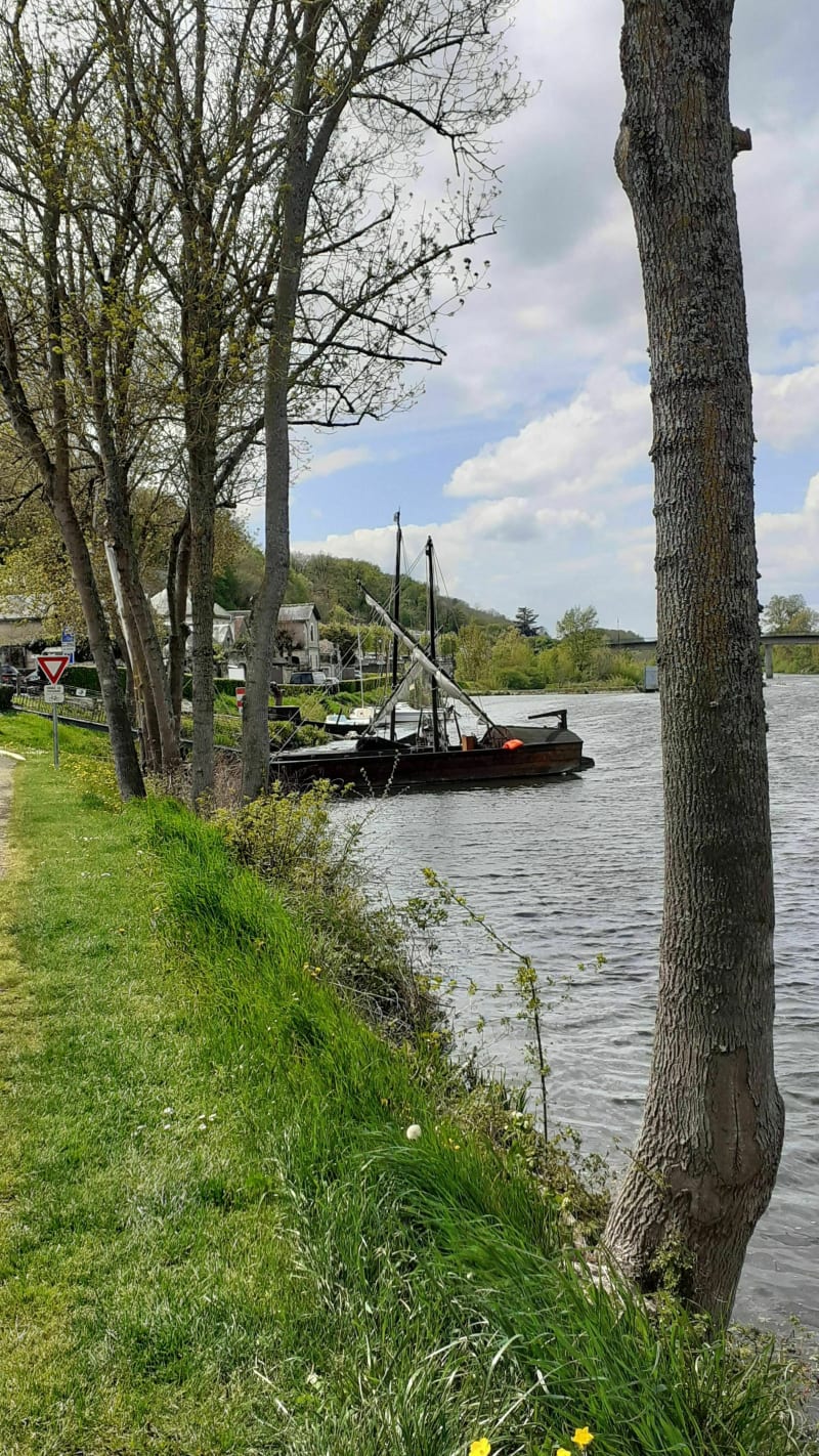 Savonnières campagne et bords du Cher - Savonnières