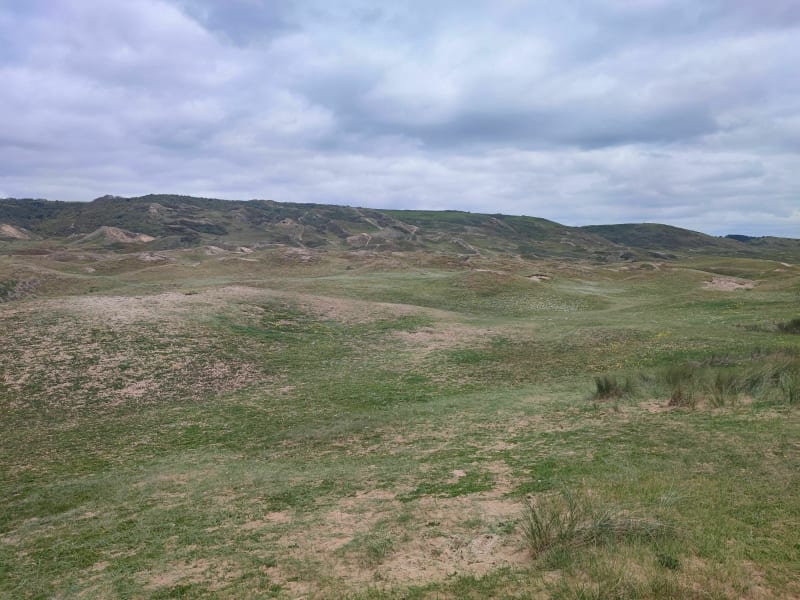 Dunes de Biville - La Hague