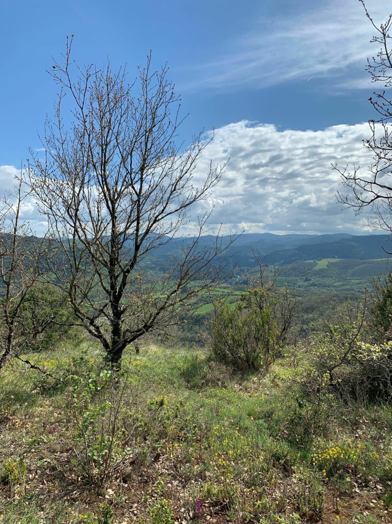 Rando autour de Ceilhes-et-Rocozels - Ceilhes-et-Rocozels