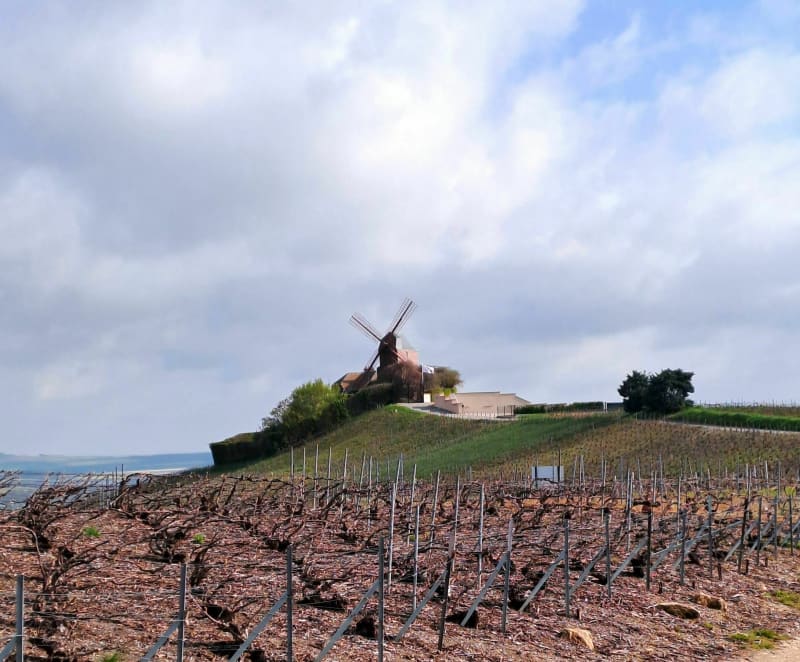 Balade en VTT direction des faux de Verzy - Vaudemange