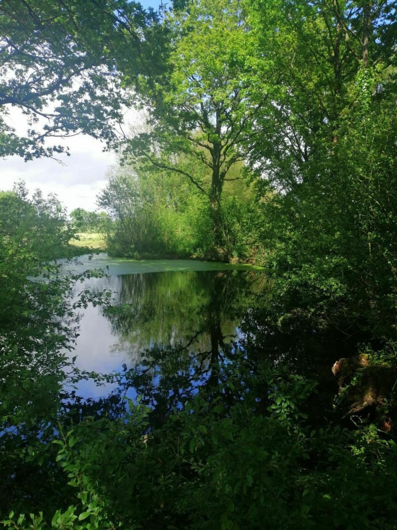 Sentier du Poiré aux Parionnières - Le Fenouiller