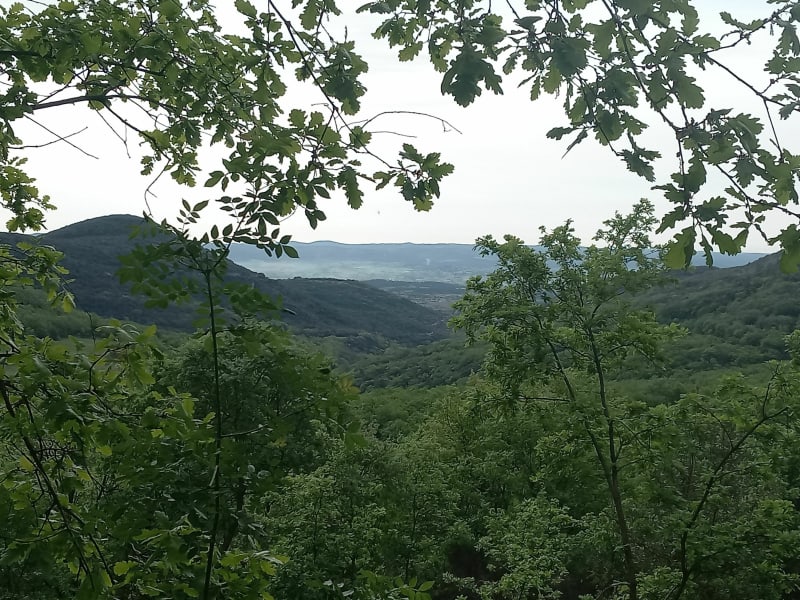 Col des Pins aux environs d'Arboras - Saint-Saturnin-de-Lucian
