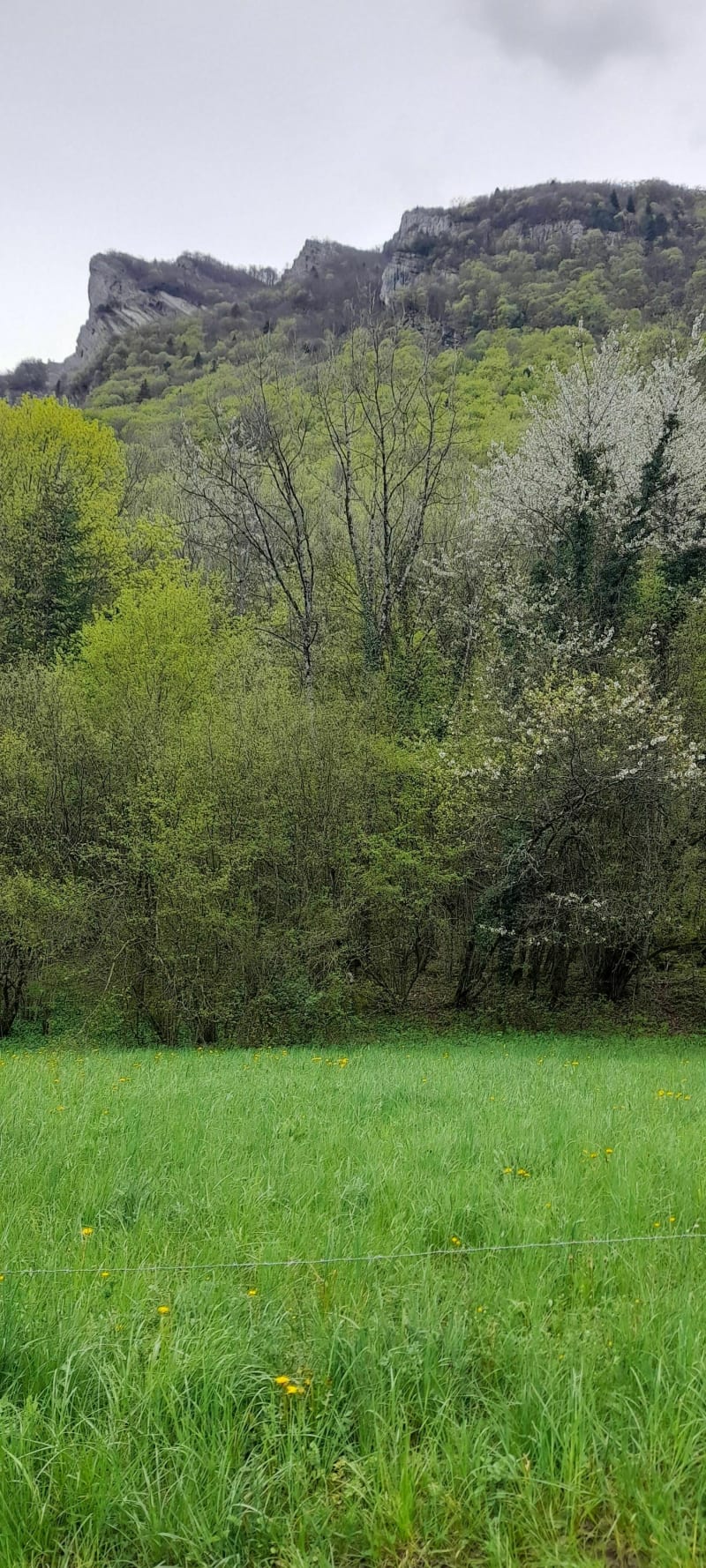 Tour du Pieu - Saint-Paul-de-Varces