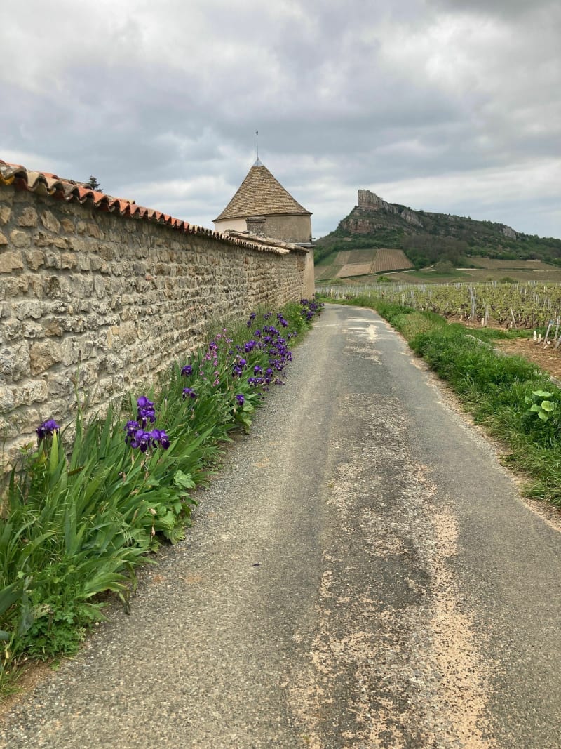 Mont Pouilly, Solutré, Vergisson,départ:la grange du bois - Cenves