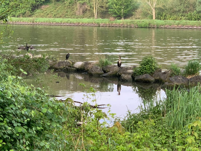 Balade entre les deux ponts de la Deûle à Houplin-Ancoisne - Houplin-Ancoisne