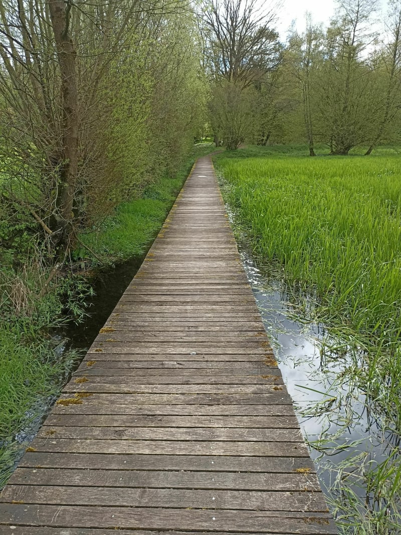 Réserve naturelle de Pantegnies - Pont-sur-Sambre