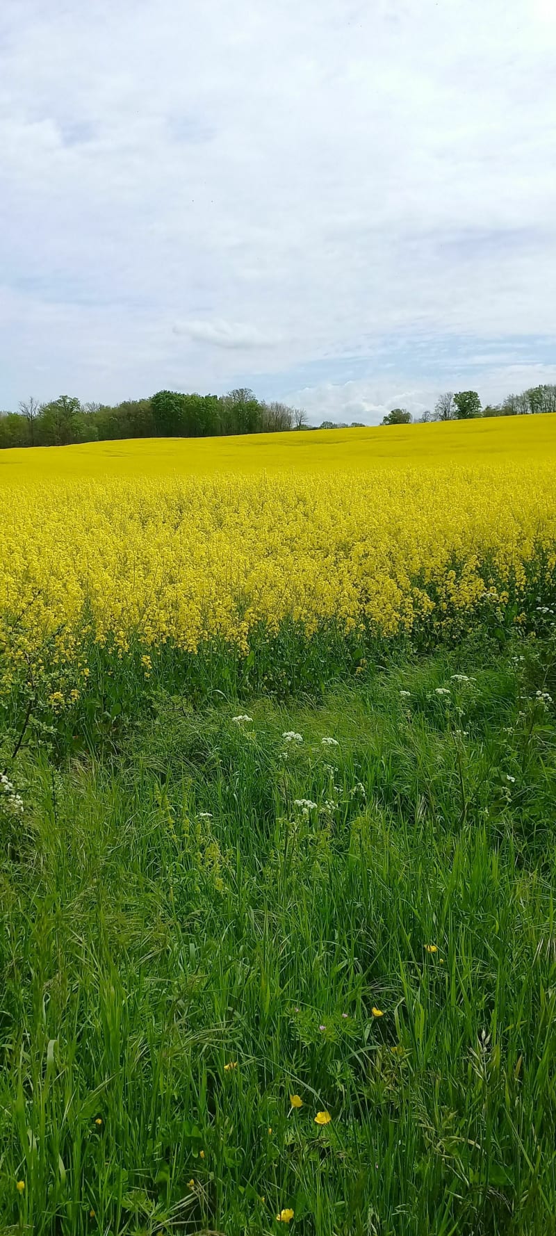 Grande randonnée en périphérie de Poitiers - Mignaloux-Beauvoir