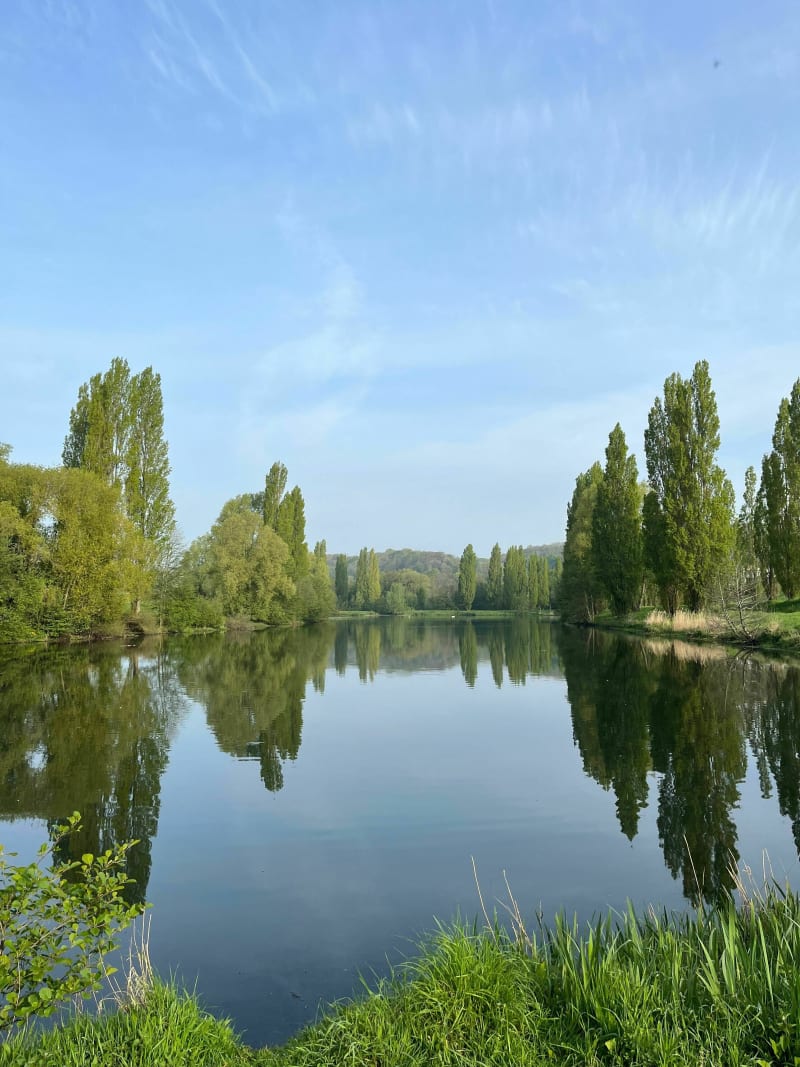 Belle balade dans le parc de Rouelles - Harfleur