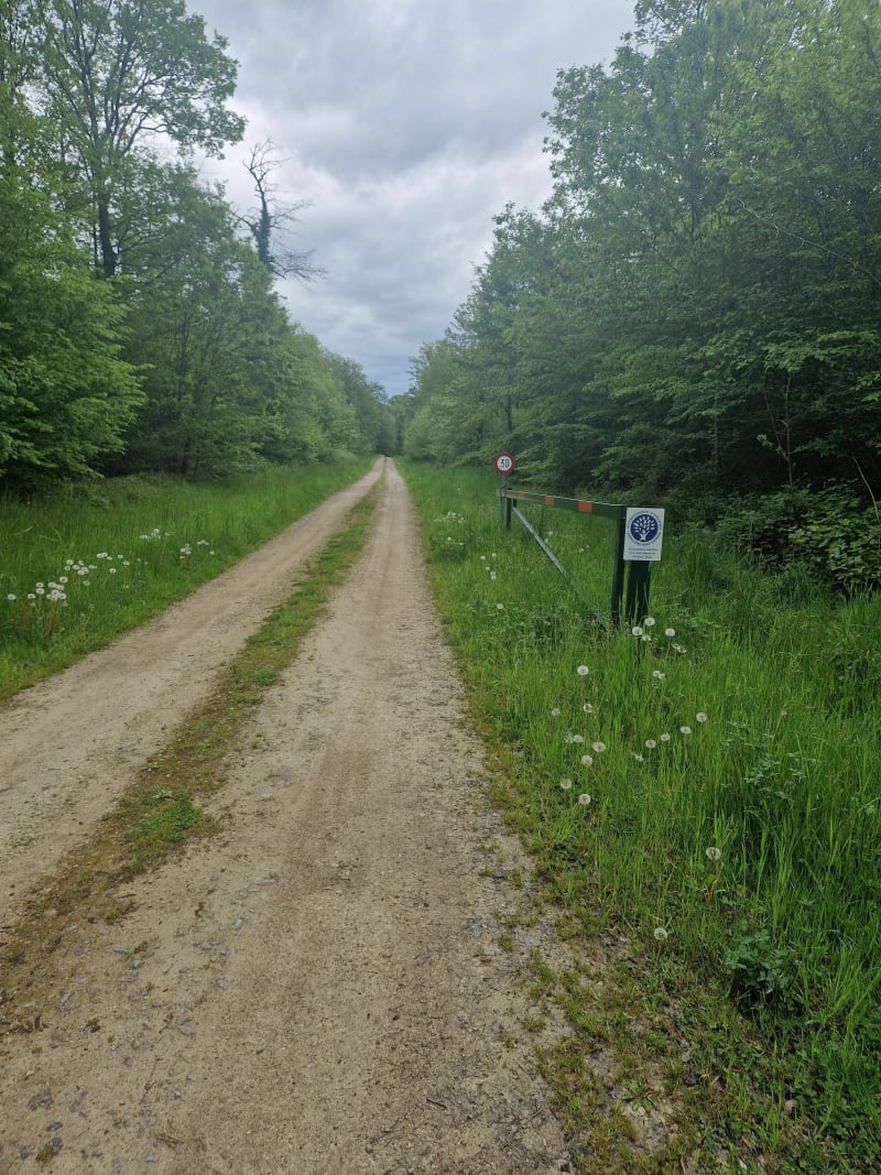 Boucle de la Fortelle par Villiers-aux-bois - Attancourt