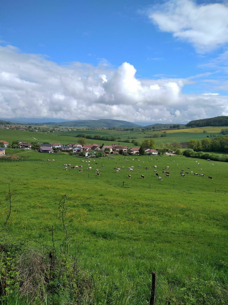 Autour de Mandrevillars et Échenans - Mandrevillars