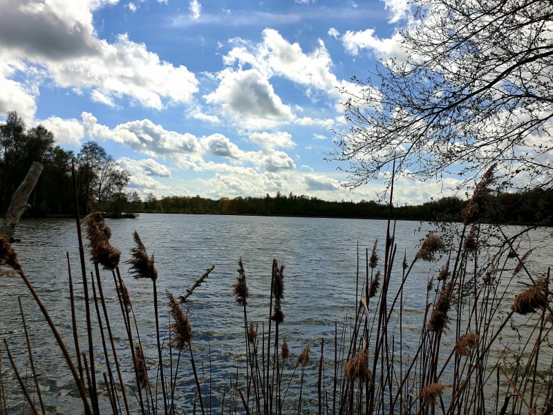 Parc des Bruyères à Fère-en-Tardenois - Fère-en-Tardenois