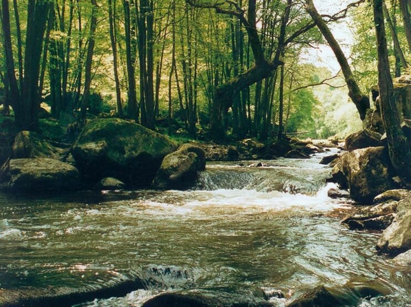 Balade à Rouvres - Rouvres