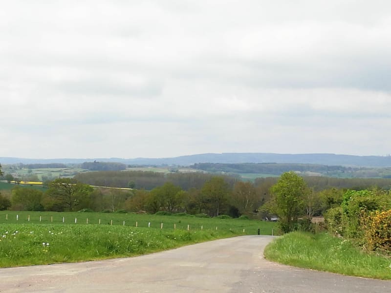 La campagne de Gesnes-le-Gandelin - Gesnes-le-Gandelin