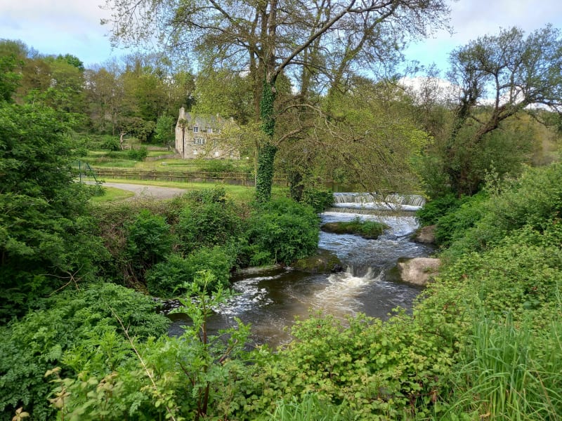 Balade au bois de Carman - Kernilis