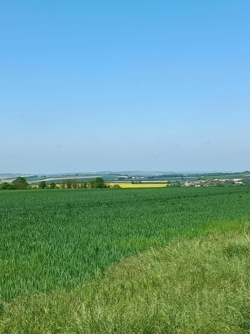 La chignole - Champniers