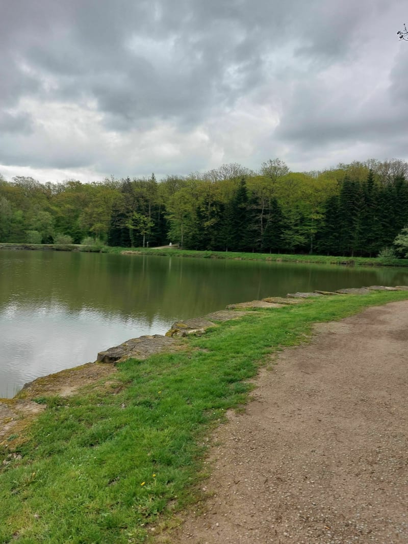 Balade lac de la Folie - Contrexéville