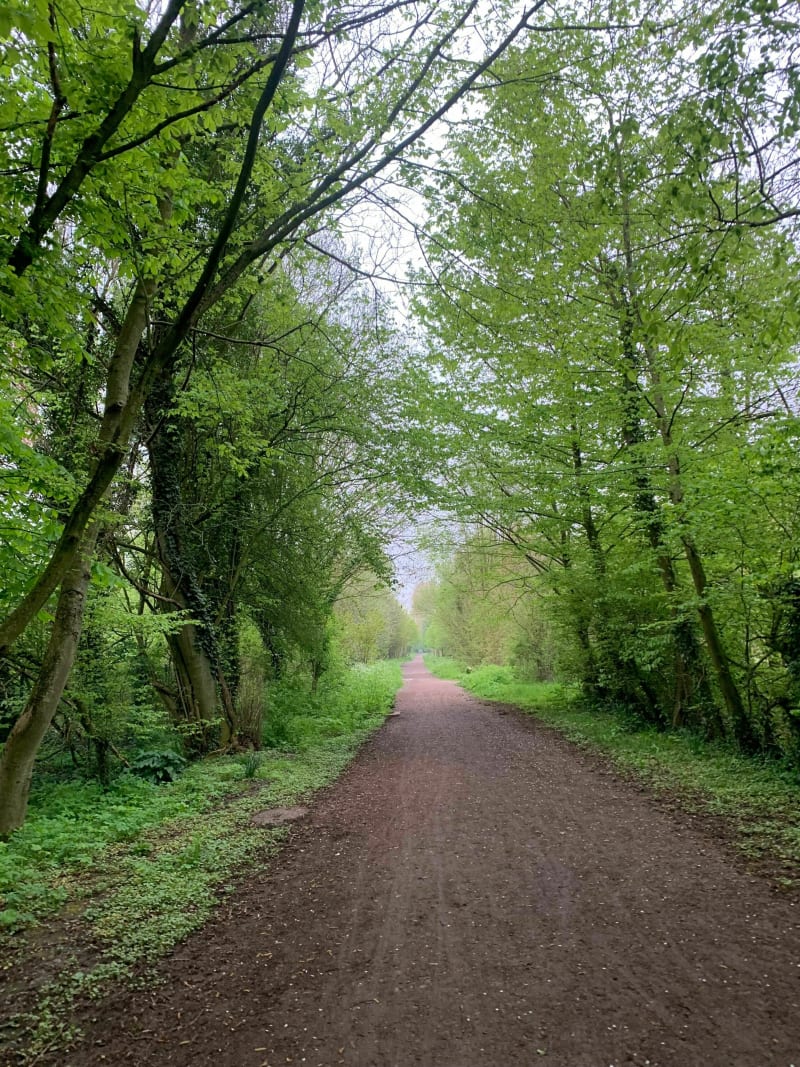 A l’ombre des arbres du Bois de la Noyelle et d'Infière - Sainghin-en-Mélantois