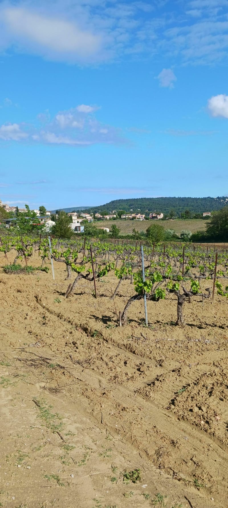 Balade vers Sainte-Tulle et Pierrevert - Manosque