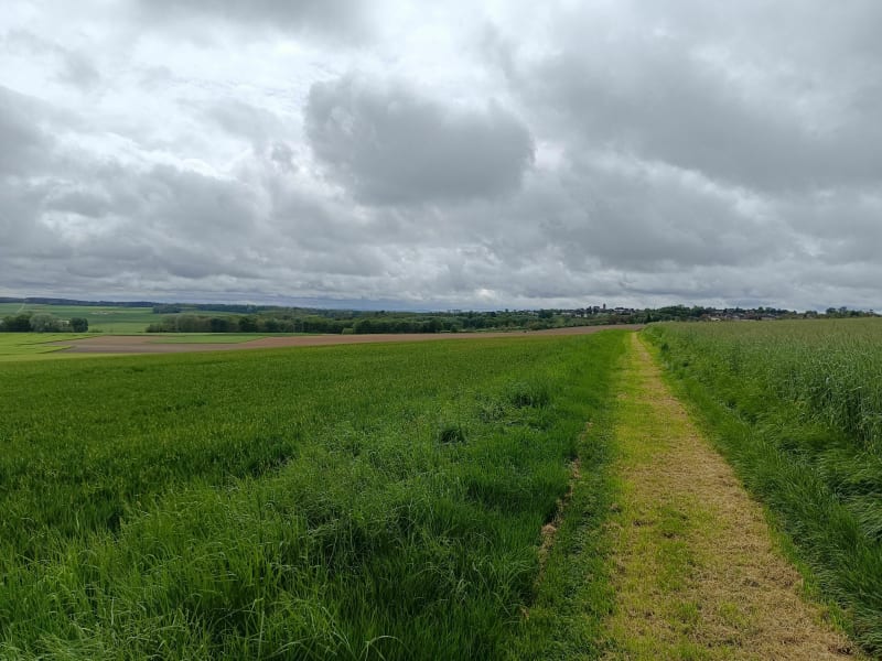 VTT autour de Mont-Saint-Sulpice entre chemins et bois - Mont-Saint-Sulpice
