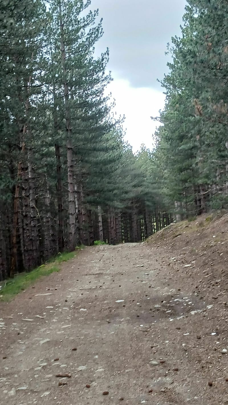 Sentier des croix Farnay - Farnay
