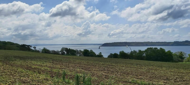 Belle promenade entre forêt et océan - Plouzané