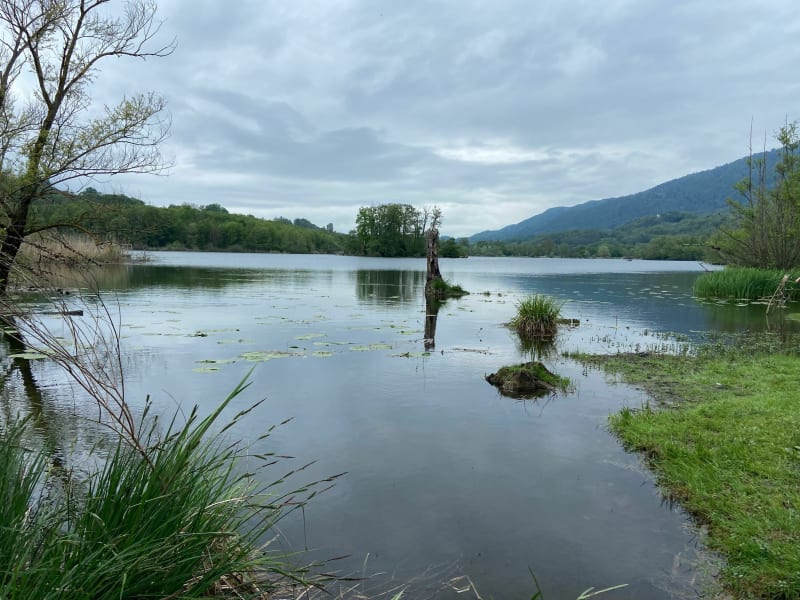 Comfortabele wandeling rond het meer van St-Hélène en Prés Marais Villaroux - Sainte-Hélène-du-Lac