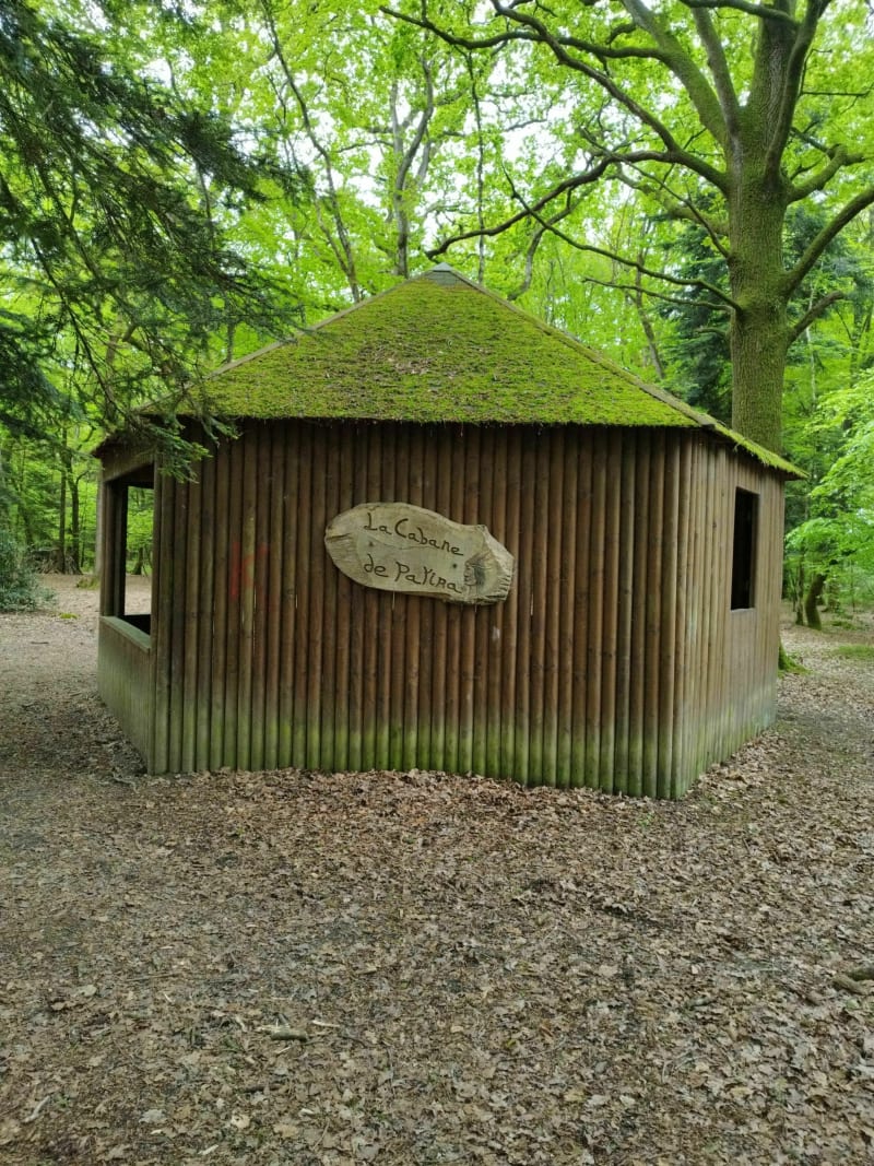 Promenade en forêt de Coëtquen - Saint-Hélen