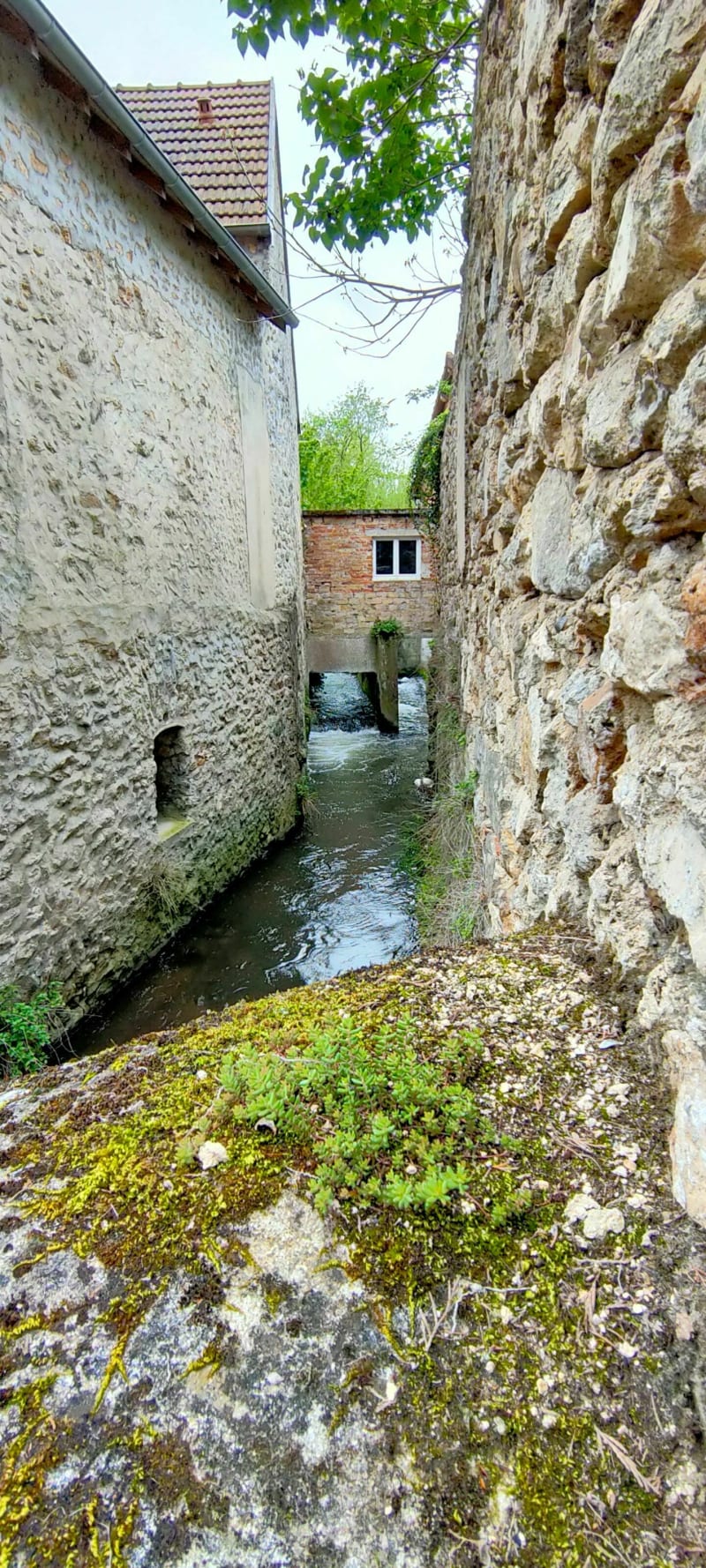 Randonnée à Pringy - Pringy