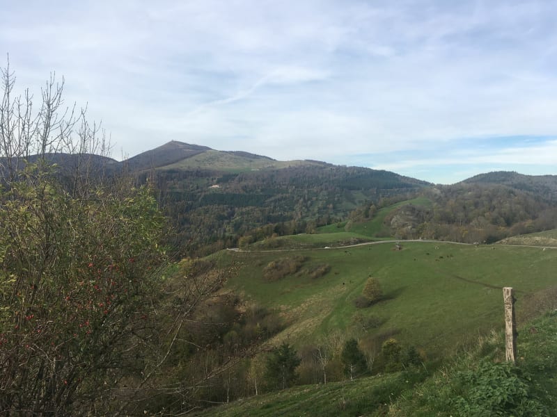 Le Rocher d‘Ostein depuis le Freundstein - Willer-sur-Thur