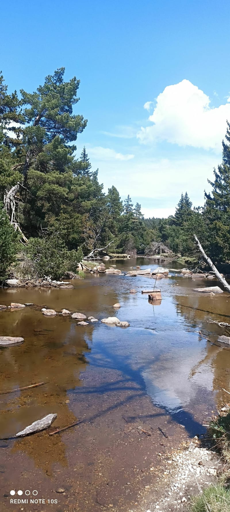 Pla de Barrès - domaine des Estanyols - Bolquère