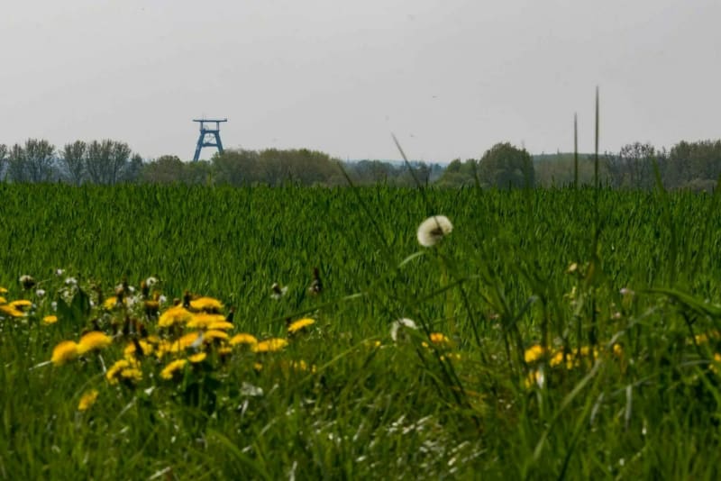 Douai :  la croisée des chemins - Douai