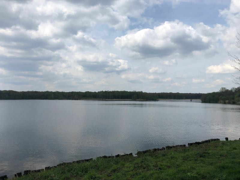 La mare à Goriaux par la trouée d’Arenberg - Wallers