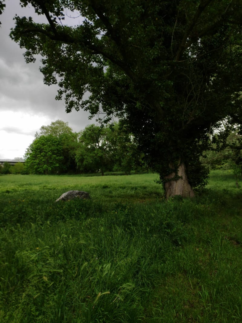 Balade au bord du canal et de la Garonne. - Mondonville