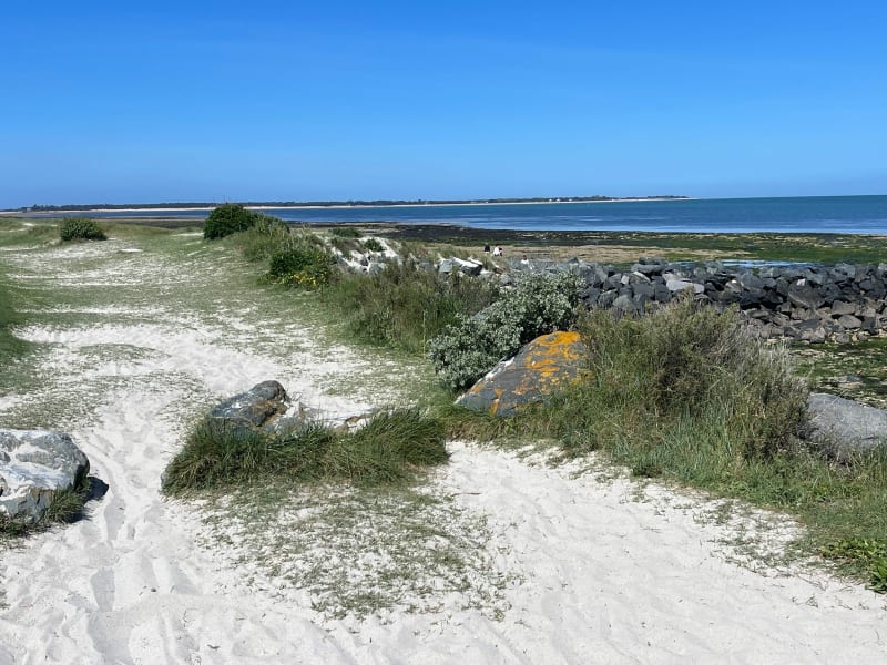 Presqu’île de Loix - Loix