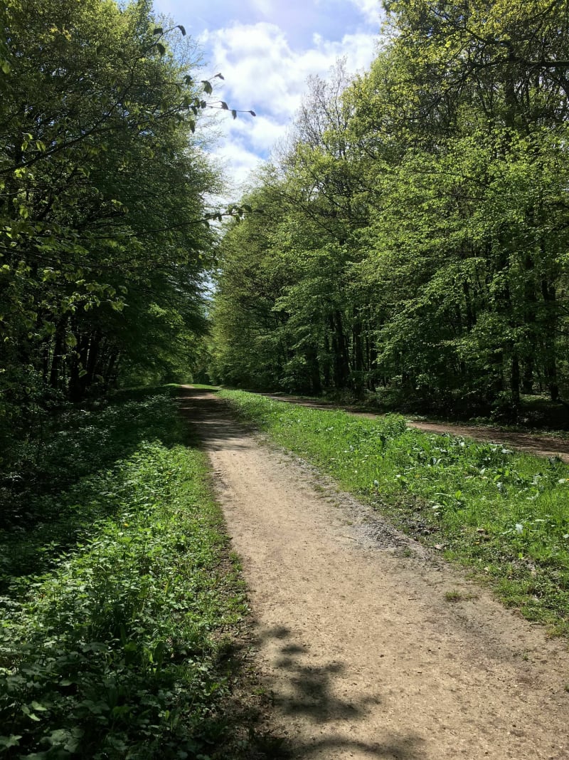 Wandeling in het Bondybos - Livry-Gargan