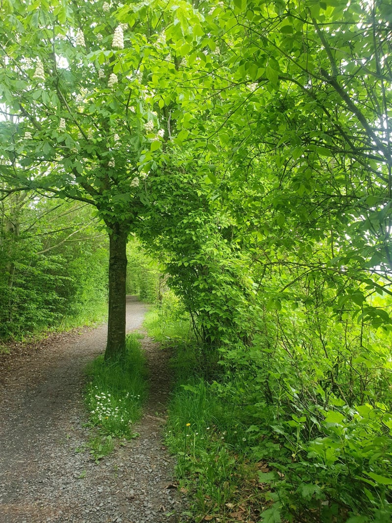 Tour d'Erquinghem - Erquinghem-Lys