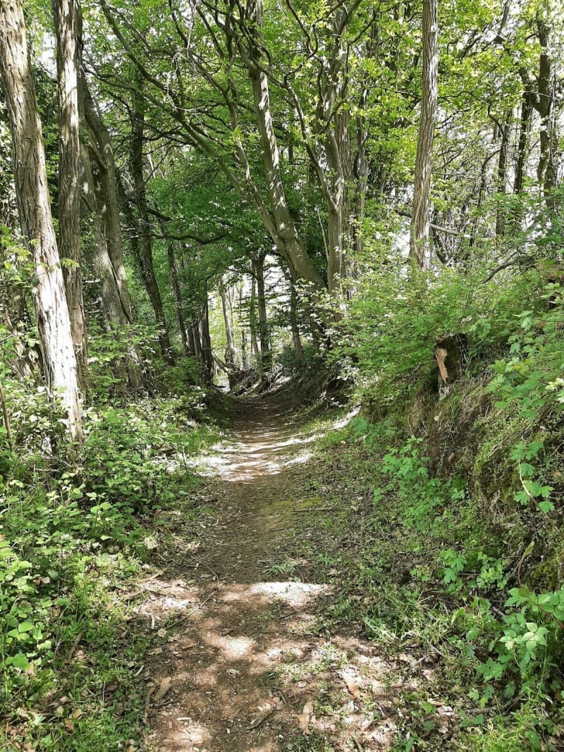 Randonnée champêtre entre Eyzin et ses alentours - Eyzin-Pinet