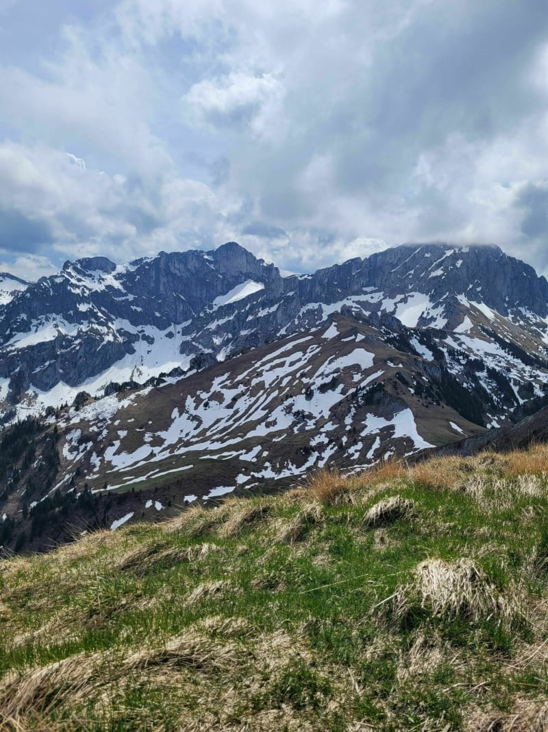 Les prés - pic boré - Bernex