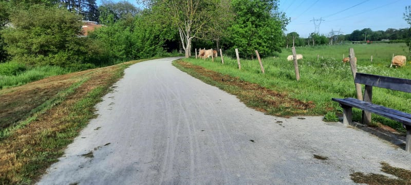 Rando Bouguenais vers port lavigne. - Bouguenais