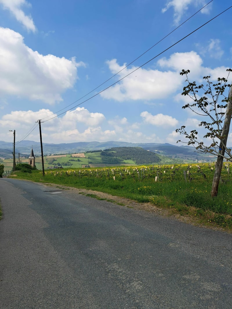 Balade à la Rochette - La Roche-Vineuse