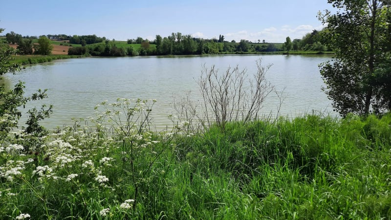 Du lac de la Pomarède au Bleu Pastel de Roumens - La Pomarède