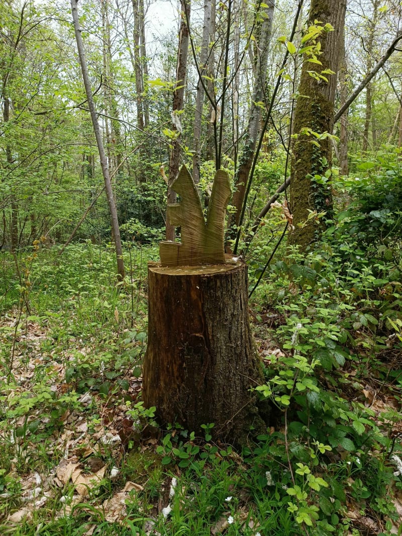 Entre champs et forêts autour des Alluets - Les Alluets-le-Roi