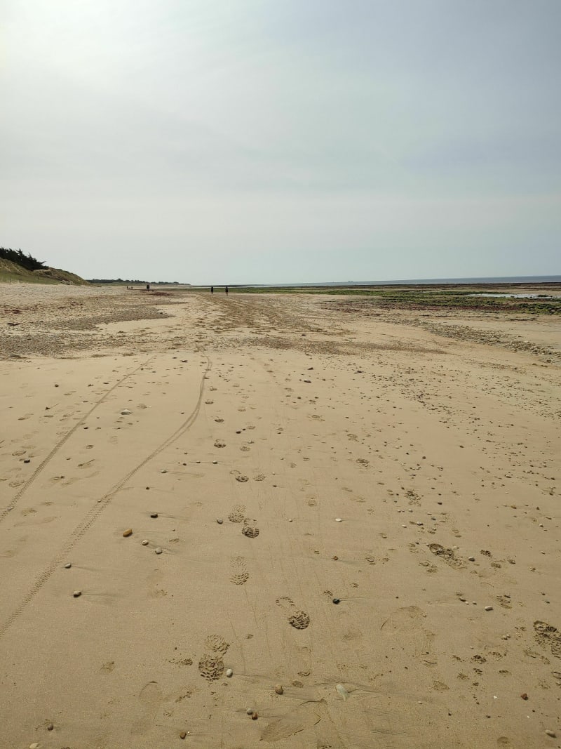 Balade entre Bois-Plage et la Noue par la dune et la plage - Le Bois-Plage-en-Ré