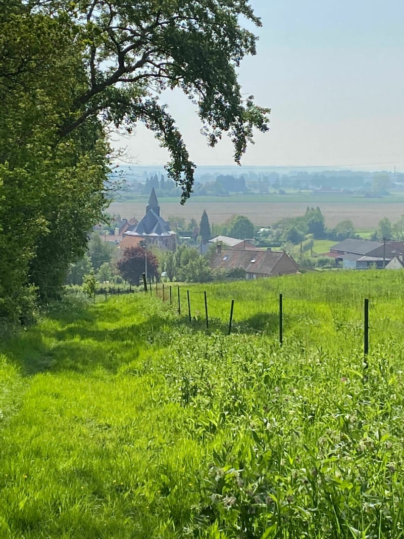Dans la campagne d’Ebblinghem - Ebblinghem