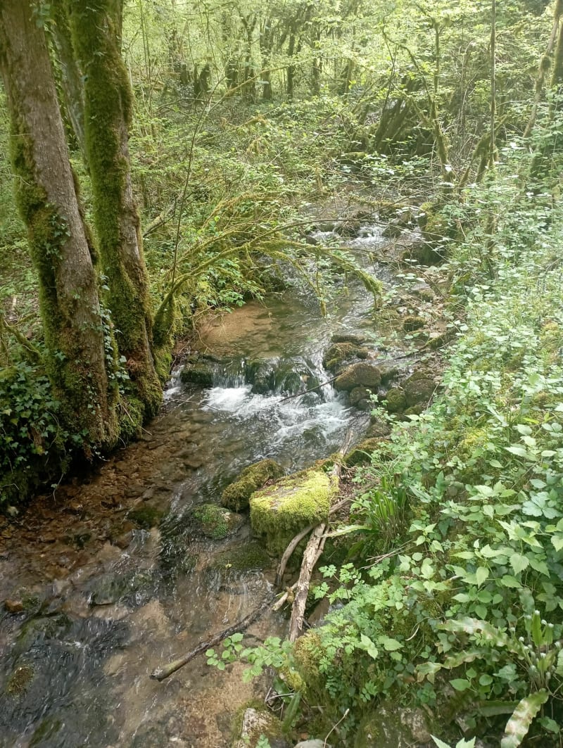 Rondo de Ambérieu-en-Bugey à Douvres - Ambérieu-en-Bugey