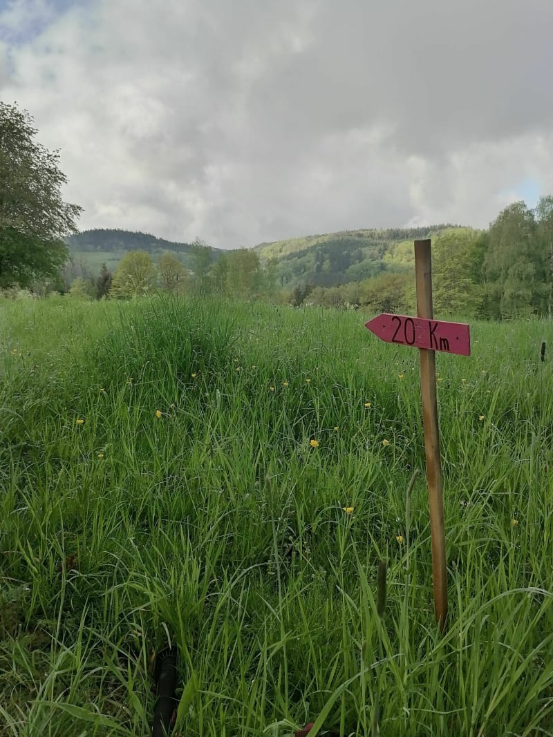 Marche populaire. DOCELLES. - Docelles